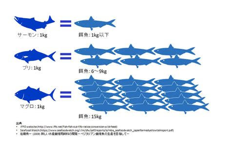 養魚世界|国内外の水産養殖の現状と展望 